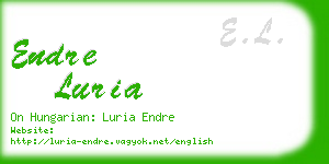 endre luria business card